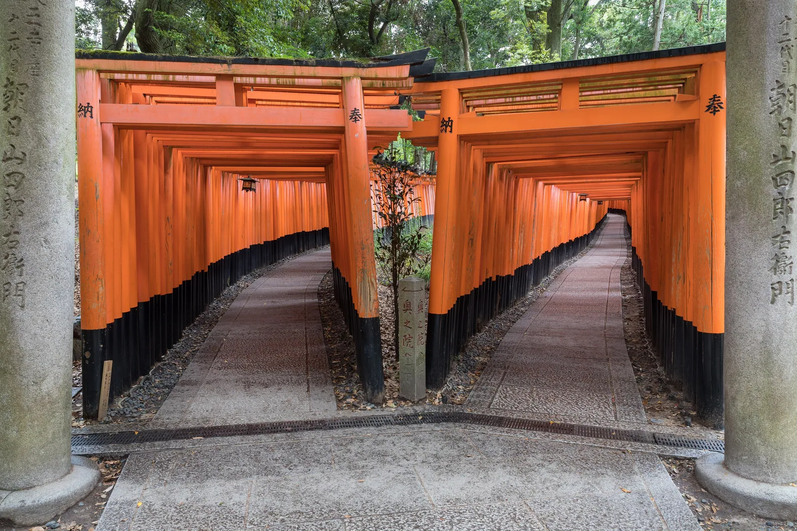 Kioto, Japón