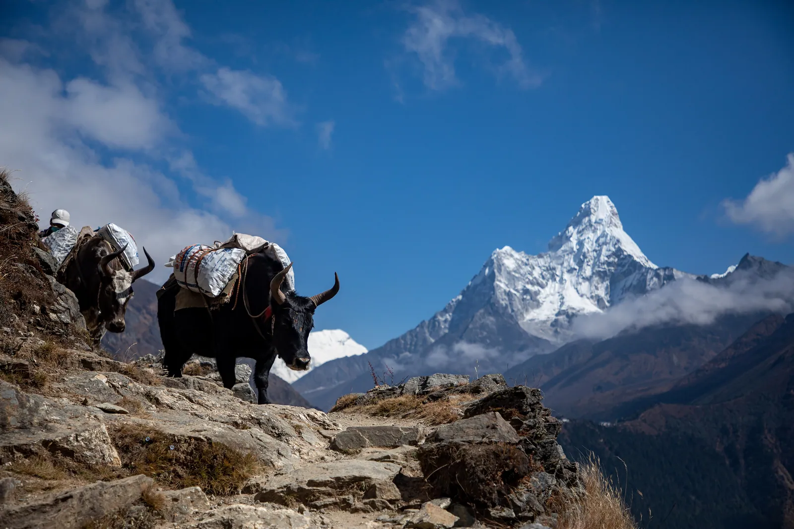 La cumbre del Ama Dablam en el Himalaya de Nepal
