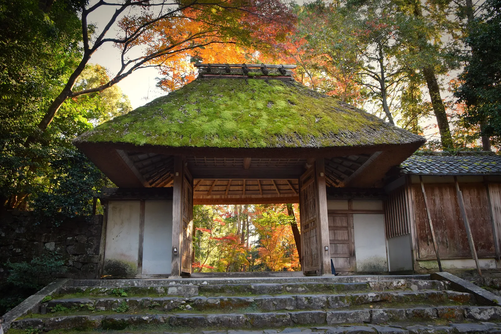 Un templo entre los arces de otoño en Kioto, Japón