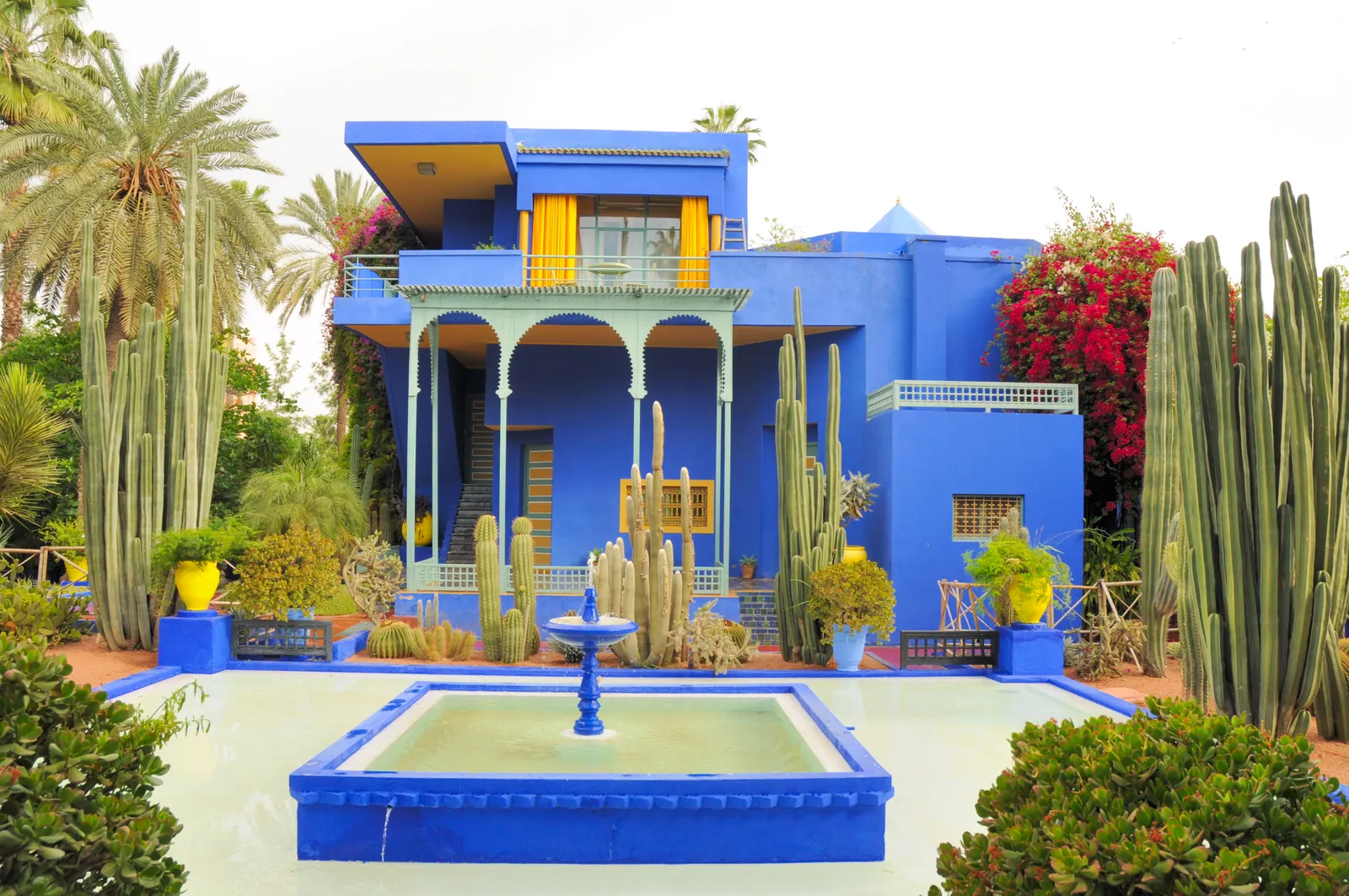 Marrakech — Le jardin des majorelle l5