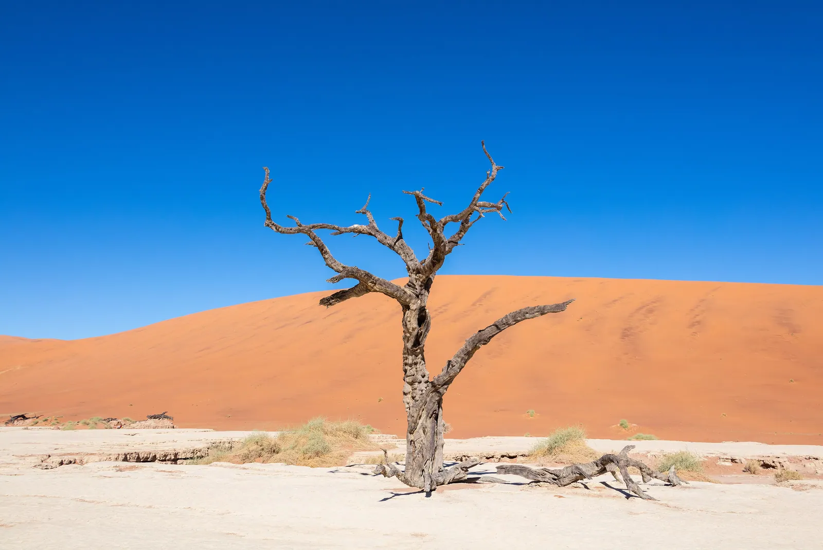 The Great Rift — a grand journey from Cairo, Egypt to Cape Town, South Africa