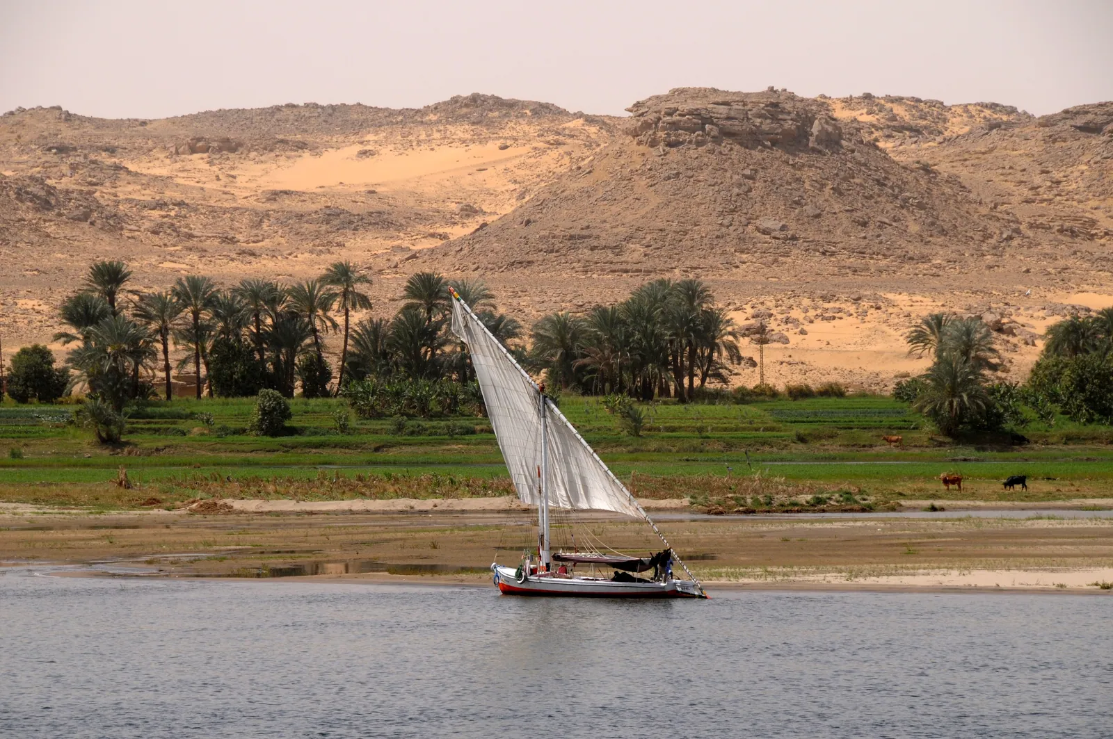 Up the Nile — Aswan, Egypt