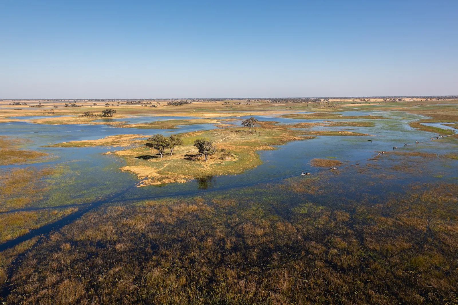 The Okavango Delta: Wildlife of the World's Greatest Inland Wetland