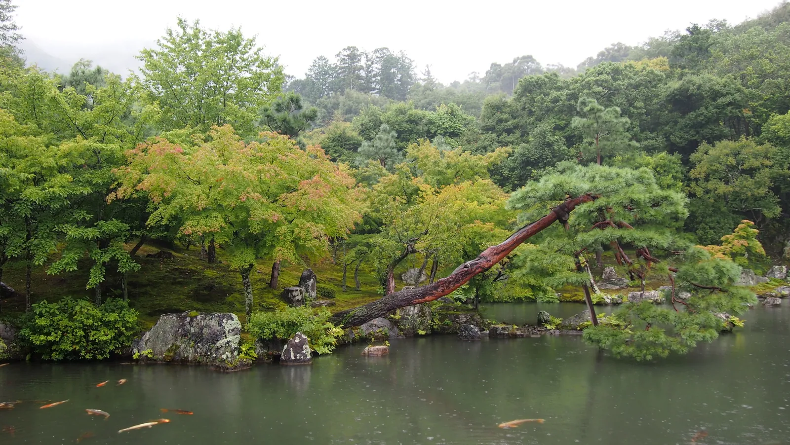Arashiyama — Tenryu-ji Zen Pond